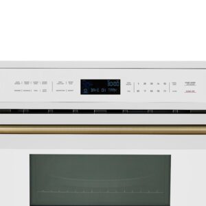 microwaves_FMWDR3093-30WHT_V1_closeup_front_panel_Brass_Handle.jpg