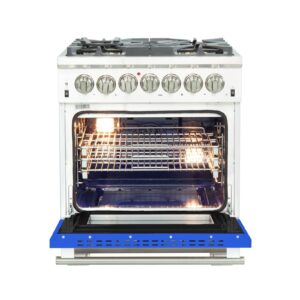 Dual-Fuel_FFSGS6187-30BLU_front-open-blue-door.jpg