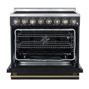 Electric-Range_FFSEL6011-36BLK_V1_2_Front-Door-Open_04-03-2025.jpg