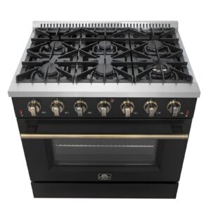 Gas_Range_FFSGS6244-36BLK_V1_Front_Cooktop_2024-12-12.jpg