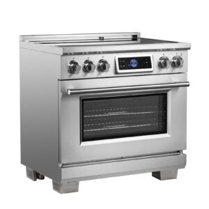 Induction-Range_FFSIN0968-36_Left-Angle_2025-06-27.jpg