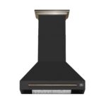 Forno Aria 30 Inch Wall-Mounted Range Hood in Black