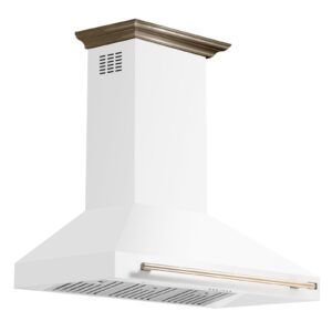 Range_Hood_FRHWM5095-48WHT_V2_2_Left_Angle_2025-03-03.jpg
