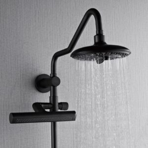 SCW2BK-C8_SCW2BK-C2_Shower_20Head_20w_20water.jpg