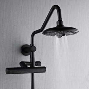 SCW2BK-C8_SCW2BK-C2_Shower_20Head_20w_20water_202.jpg
