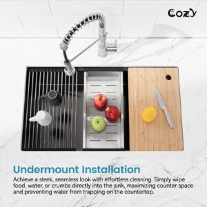 cozy-3319-black-undermount-workstation-install.jpg